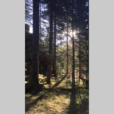 Gemuetliches Ferienhaus Am Waldrand Tröpolach Exterior foto