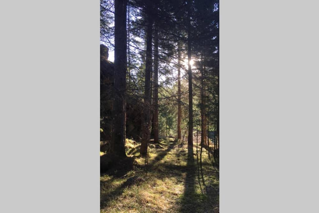 Gemuetliches Ferienhaus Am Waldrand Tröpolach Exterior foto